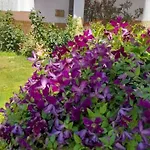 Guest house Casa Blanca Din Costinesti 3*