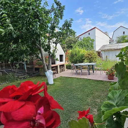 Casa Blanca Din Costinesti Guest house Costinesti