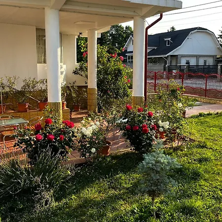 Casa Blanca Din Costinesti Guest house Costinesti